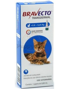 Bravecto Gato