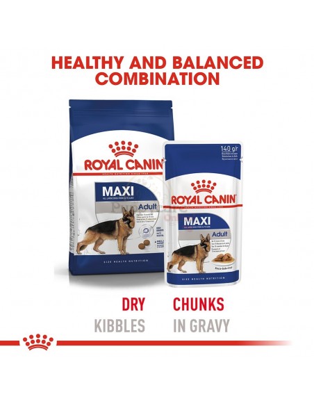 Royal Canin SHN Maxi Adult Alimento Húmido Cão
