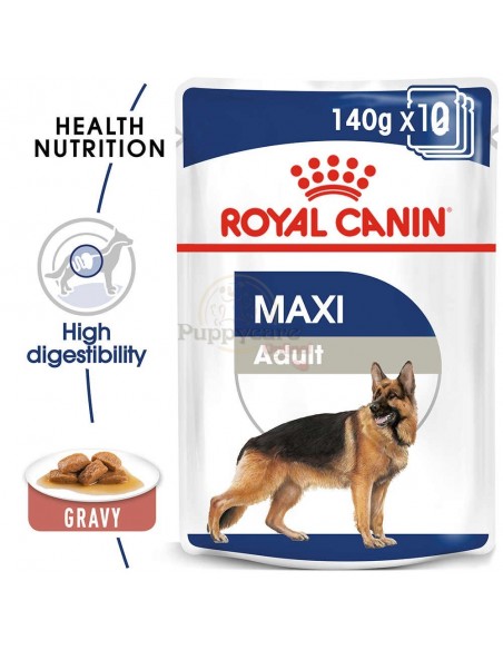 Royal Canin SHN Maxi Adult Alimento Húmido Cão