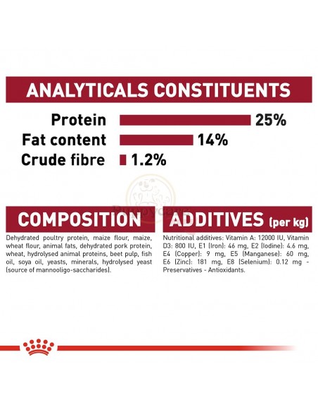 Royal Canin SHN Médium Adult Alimento Seco Cão