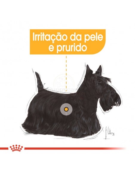 Royal Canin Dermacomfort Alimento Húmido Cão