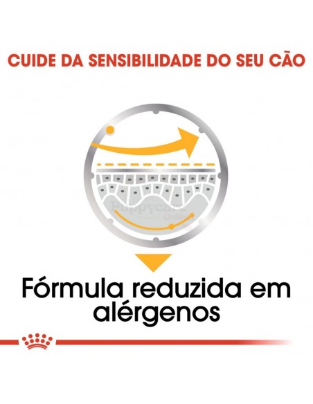 Royal Canin Dermacomfort Alimento Húmido Cão