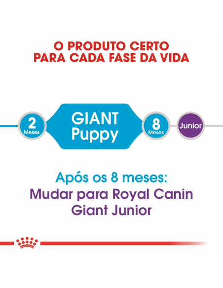 Royal Canin SHN Giant Puppy Alimento Seco Cão