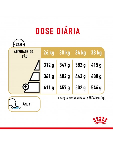 Royal Canin BHN Labrador Retriever Adult 5+ Alimento Seco Cão