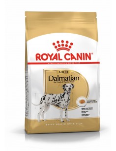 Royal Canin Cão Dalmata Adulto