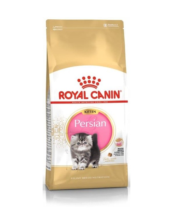Royal Canin Gato Kitten Persian