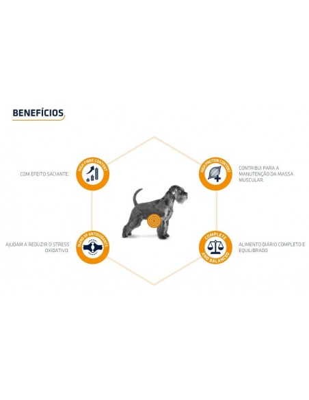 Beneficios Advance Cão VD Weiht Balance Húmido
