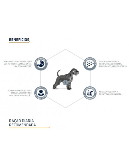 Beneficios Advance Cão VD Recovery Húmido