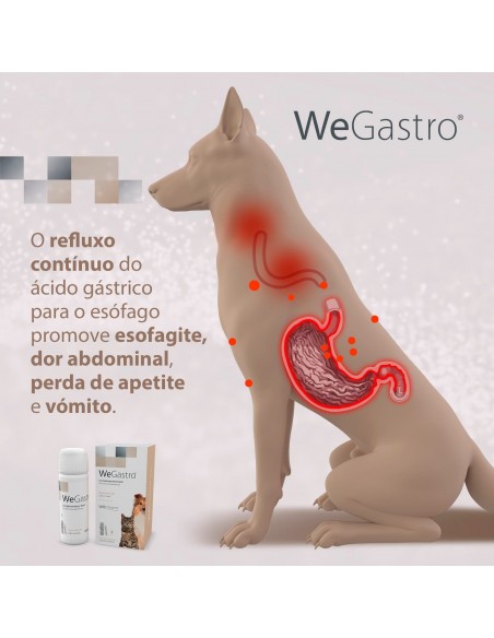 WeGastro Protector Gástrico para Cães e Gatos