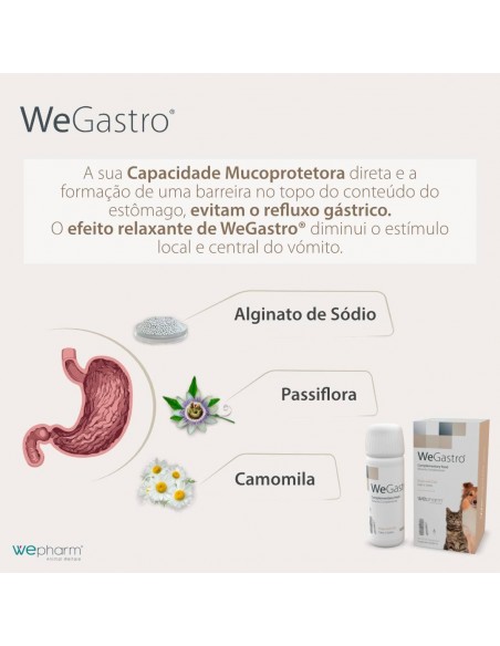 WeGastro Protector Gástrico para Cães e Gatos