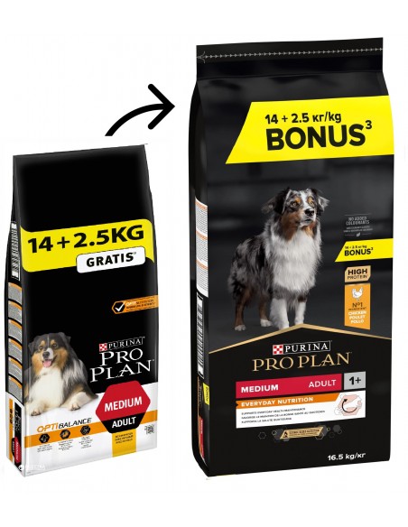 Pro Plan Adulto Medio Everyday