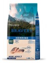 Bravery Adulto Small e Mini Arenque (Grain Free)