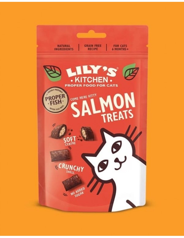 Lily´s Kitchen Gato Snack Salmão