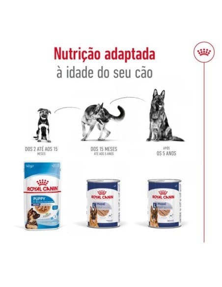 Royal Canin Cão Maxi Adulto Humido