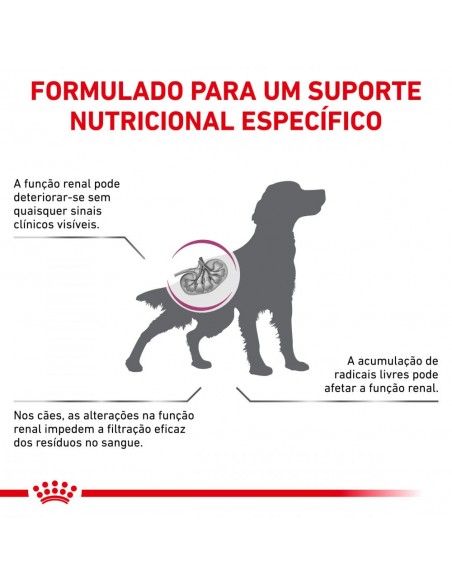 Royal Canin Cão VD Early Renal