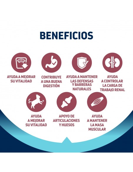 Advance Gato Senior +10 Sterilised Beneficios
