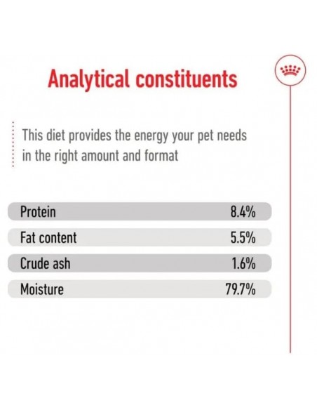 Royal Canin Cão Medio Ageing Humido