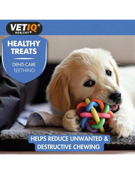 Vetiq Healthy Treats Teething for Puppies 50gr