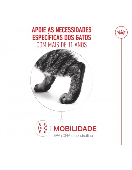 Royal Canin Gato Senior 11+