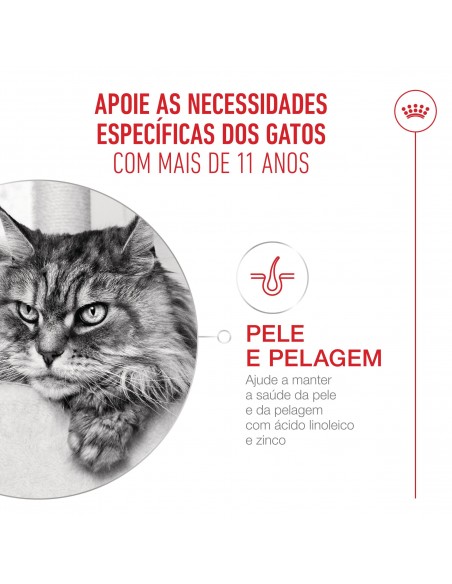 Royal Canin Gato Senior 11+