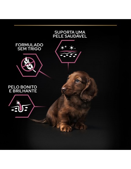 Pro Plan Cão Puppy Small e Mini Sensitive Skin
