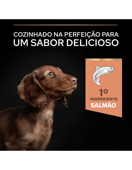 Pro Plan Cão Puppy Small e Mini Sensitive Skin