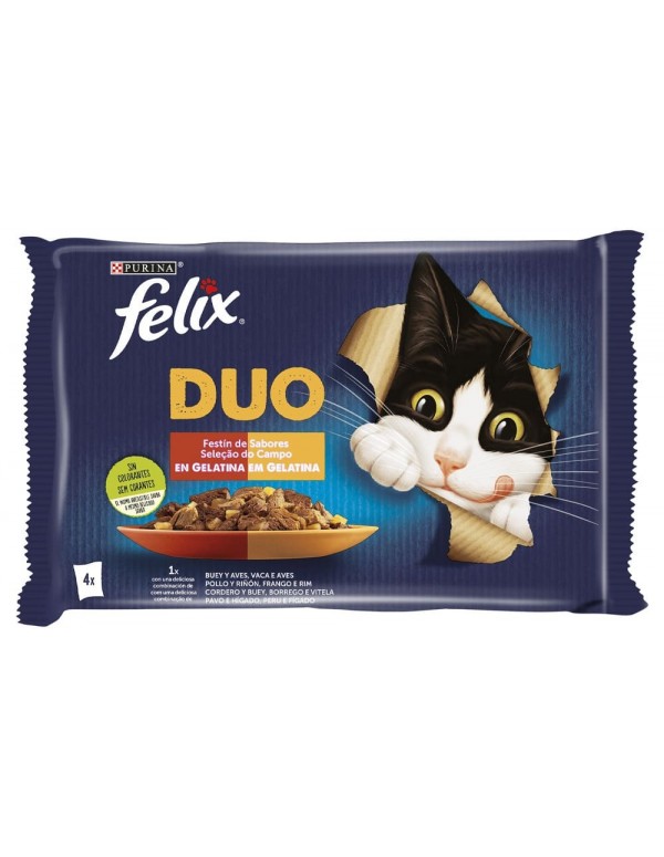 FELIX Saquetas Fantastique Duo Festin Sabor Seleção Campo Gelatina