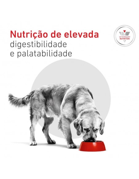 Royal Canin VD Cão Lata Glycobalance