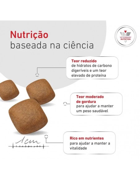 Royal Canin VD Cão Glycobalance