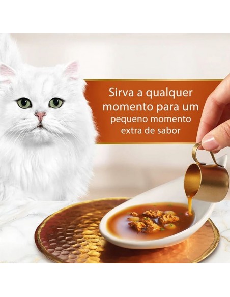 Gourmet Soup Royale Frango
