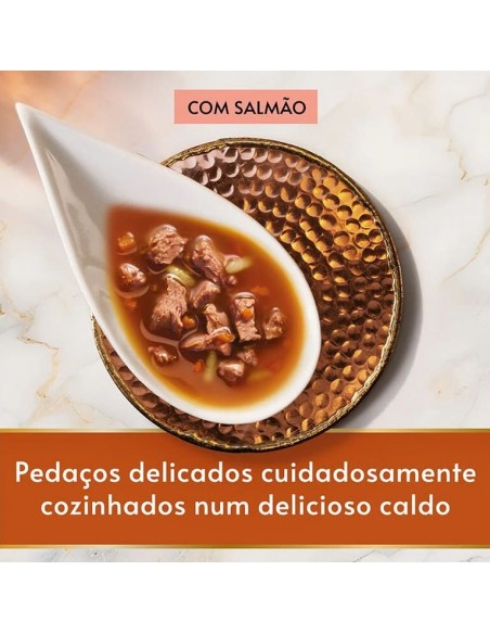 Gourmet Soup Royale Frango