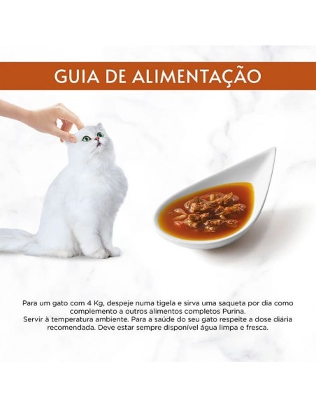 Gourmet Soup Royale Frango