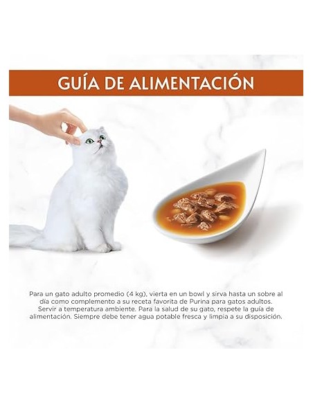Gourmet Soup Royale Salmão Bacalhau e Solha