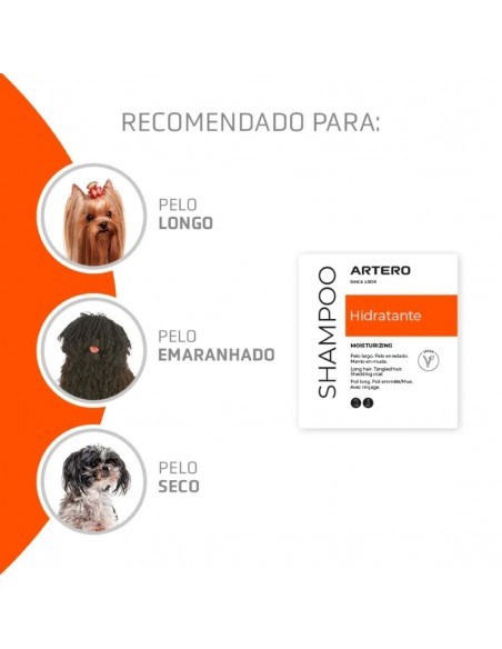Artero Shampoo Hidratante