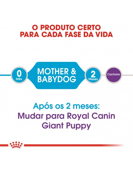 Royal Canin Size Health Nutrition Giant Starter Alimento Seco Cão