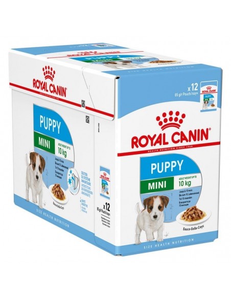 Royal Canin SHN Mini Puppy Alimento Húmido Cão 12X85 Gr