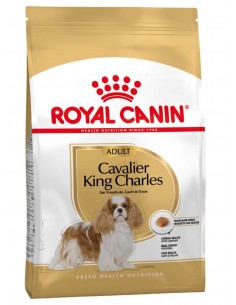 Royal Canin Cão Cavalier King Charles Adulto