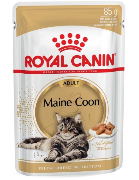 Royal Canin Gato Maine Coon