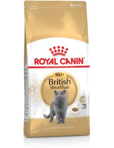 Royal Canin Gato British Shorthair Adulto