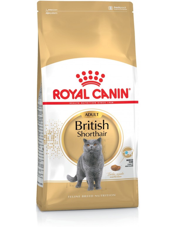 Royal Canin Gato British Shorthair Adulto