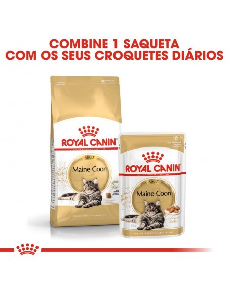 Royal Canin FBN Maine Coon Adult Alimento Seco Gato