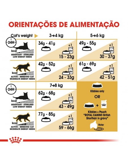 Royal Canin FBN British Shorthair Adult Alimento Seco Gato