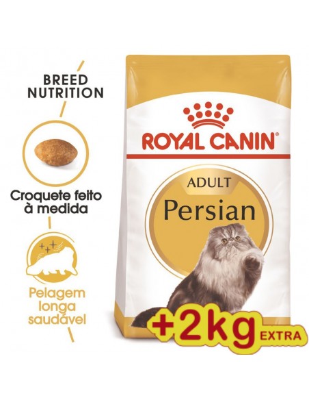 Royal Canin FBN Persian 10+2Kg Alimento Seco Gato