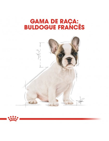 Royal Canin BHN Bulldog Francês Puppy Alimento Seco Cão