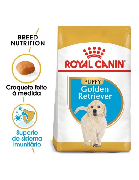 Royal Canin BHN Golden Retriever Puppy Alimento Seco Cão