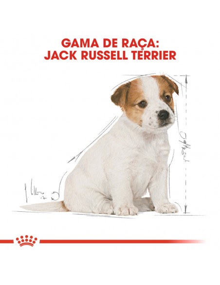 Royal Canin BHN Jack Russell Terrier Puppy Alimento Seco Cão