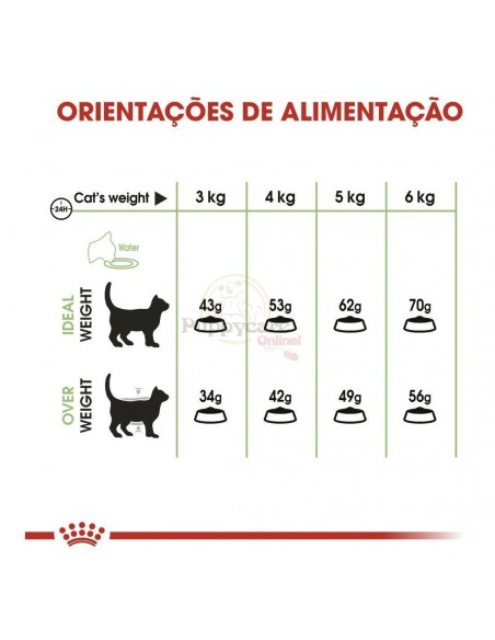 Royal Canin FCN Digestive Care Alimento Seco Gato