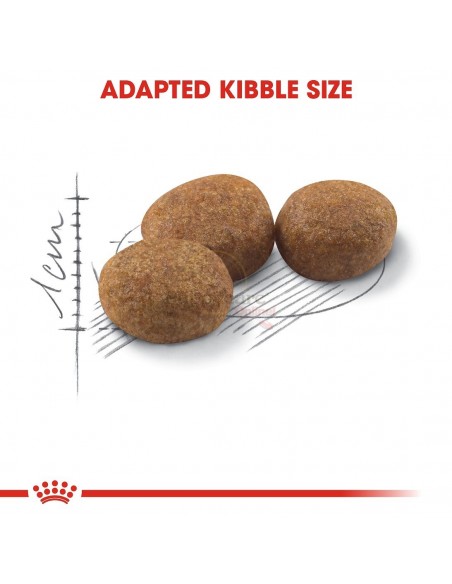 Royal Canin FHN Sterilised Alimento Seco Gato
