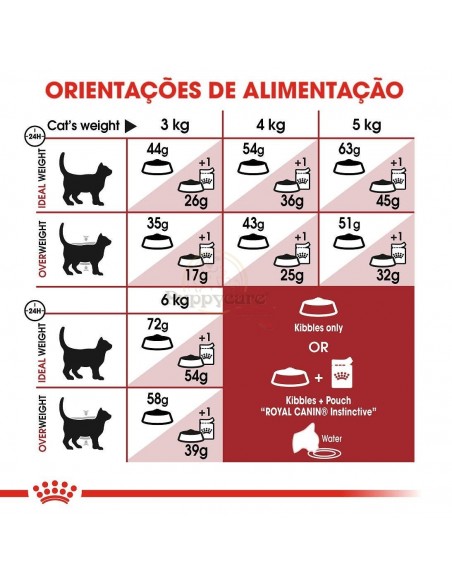 Royal Canin FHN Fit Alimento Seco Gato