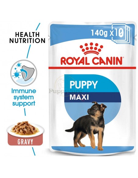 Royal Canin SHN Maxi Puppy Alimento Húmido Cão